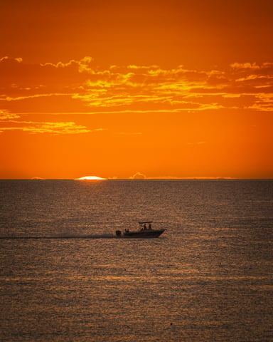 Boat Tours & Fishing Charters