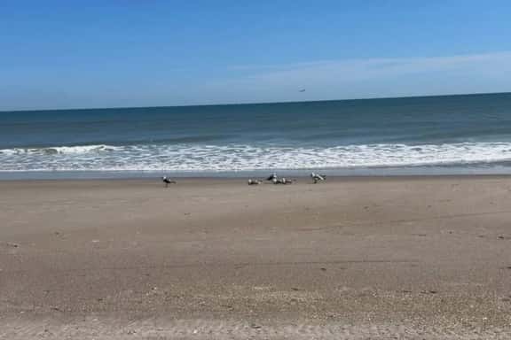 2 Bedroom Condo with Beach Access - Image 1