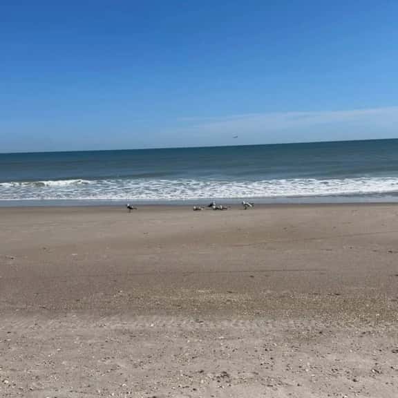 2 Bedroom Condo with Beach Access - Image 1