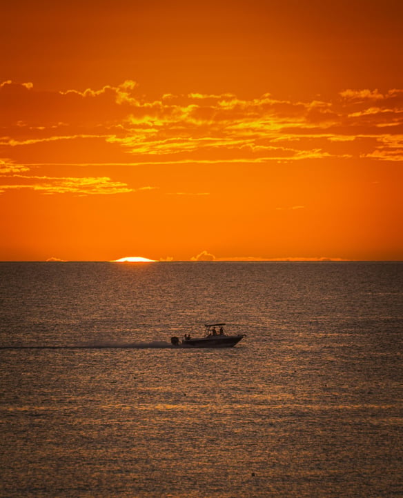 Boat Tours & Fishing Charters