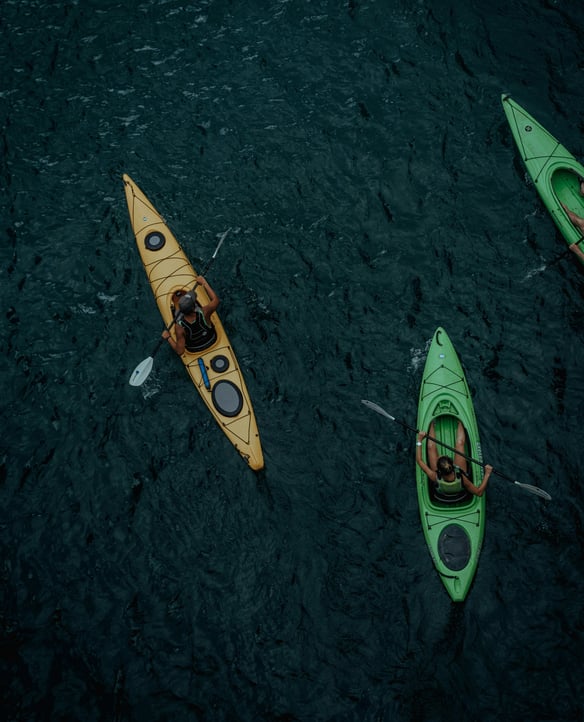 Bioluminescent Kayak Tour